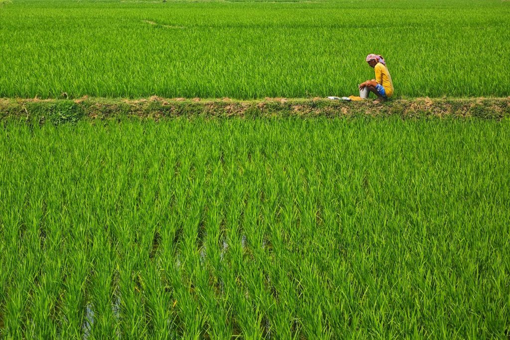 India Stock Adequate Fertilizer for Kharif Season