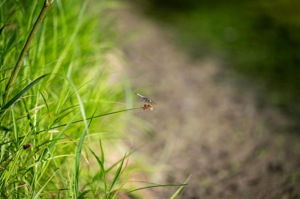 Sensex, Nifty stumble in 2025: What’s next for Indian markets in 2026?