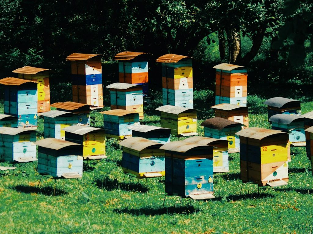 Pushpa 2 Box Office Smashes Records Across All Languages