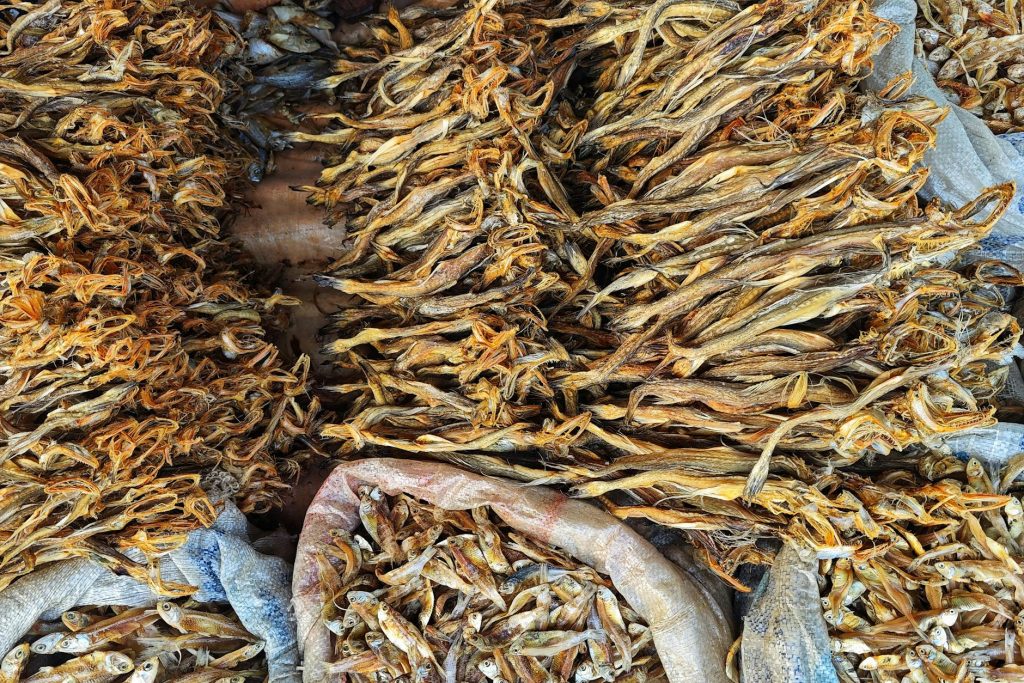 West Asia Crisis Wipes Out ₹33.68 Lakh Crore From Indian Markets