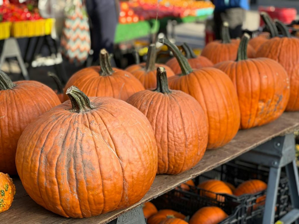 Market Selloff Wipes ₹20 Lakh Cr; Experts Say Don’t Panic