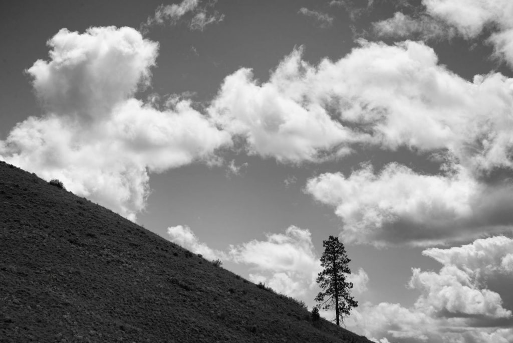 OBC Groups Stage Major Rally in Nagpur Over Maratha Quota Row