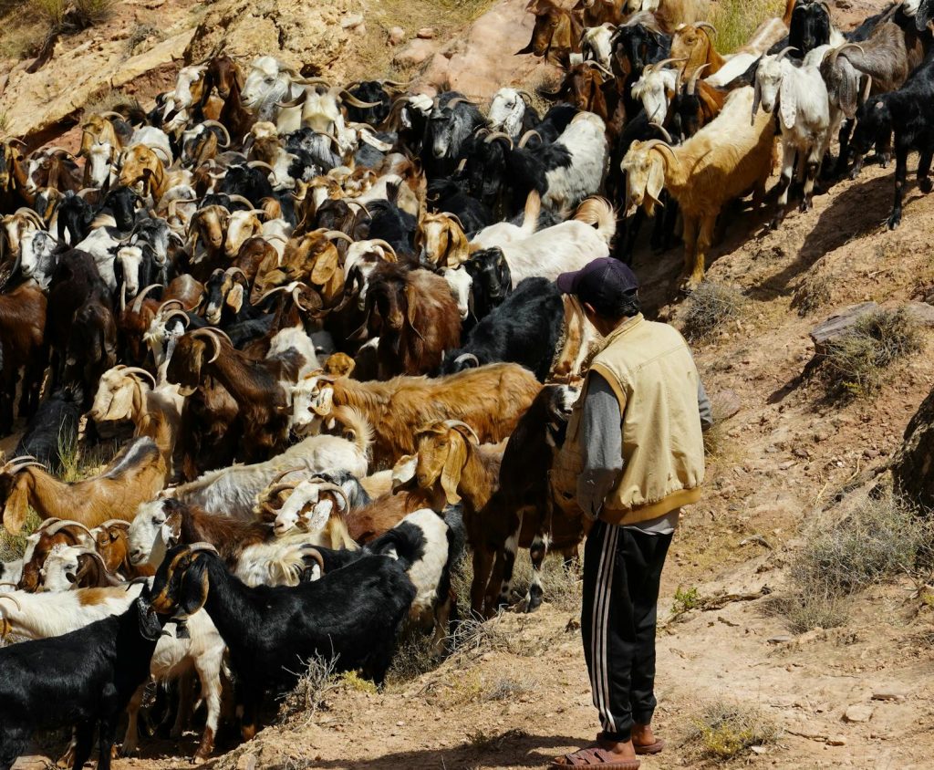 Cyclone Dana: 16 trains cancelled in Visakhapatnam on Oct 24-25