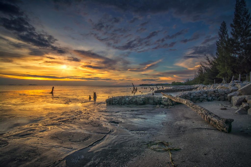Yellowstone’s Acid Geyser Wakes Up After Years of Silence
