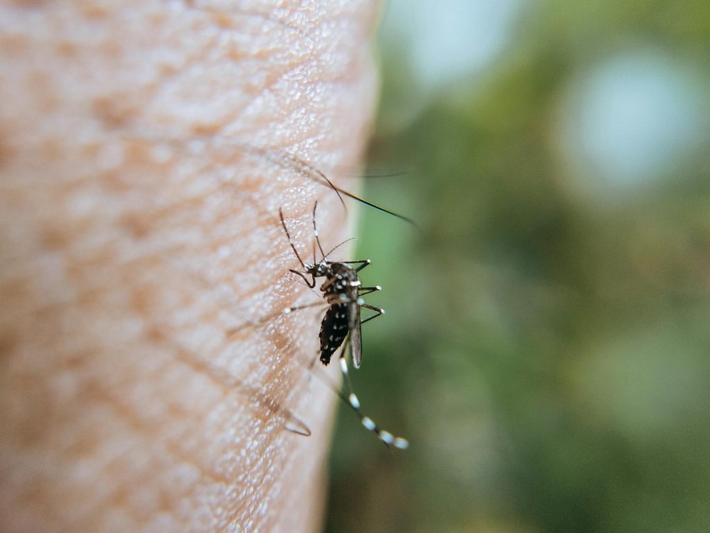 Kochi's New Mosquito Squad Becomes Political Punching Bag