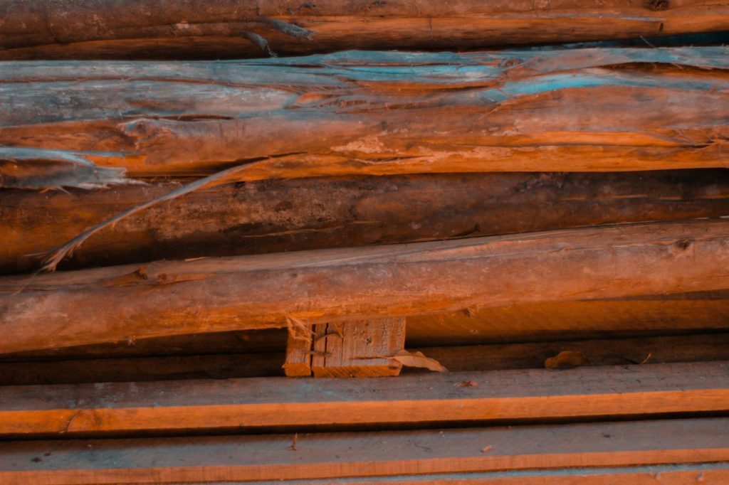 Maharashtra teak smuggling row: Is politics shielding illegal traders?