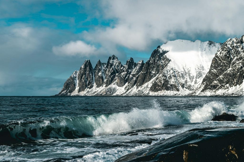 MP Freezes: Temperature Hits 1.7°C as Brutal Cold Wave Grips India