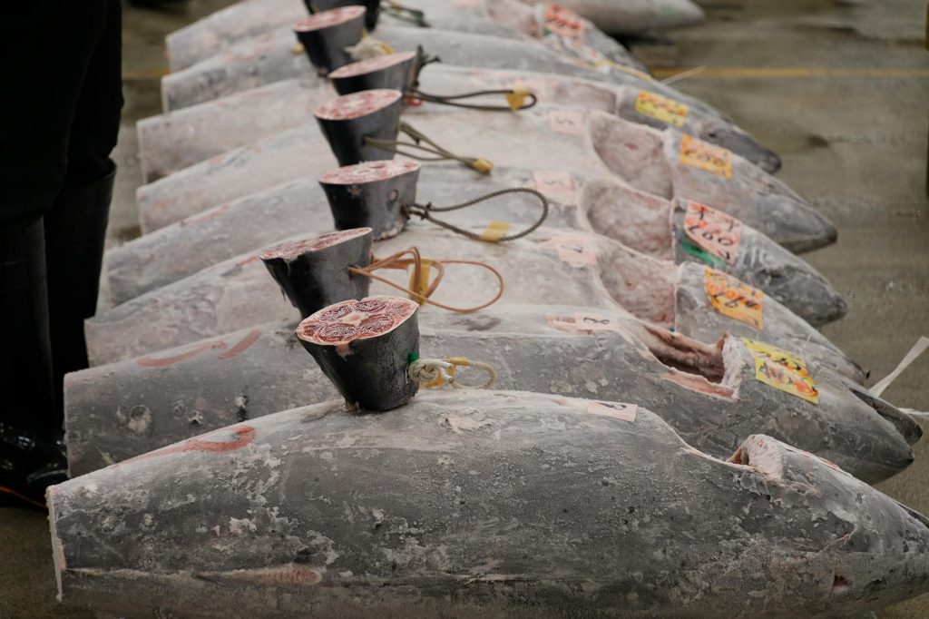 IPL 2026 Auction: When and where to watch India’s biggest cricket event