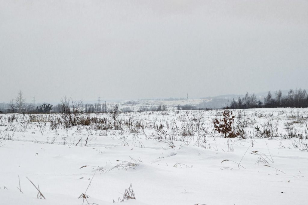 Bhopal Finally Gets Relief as Winter Chill Returns