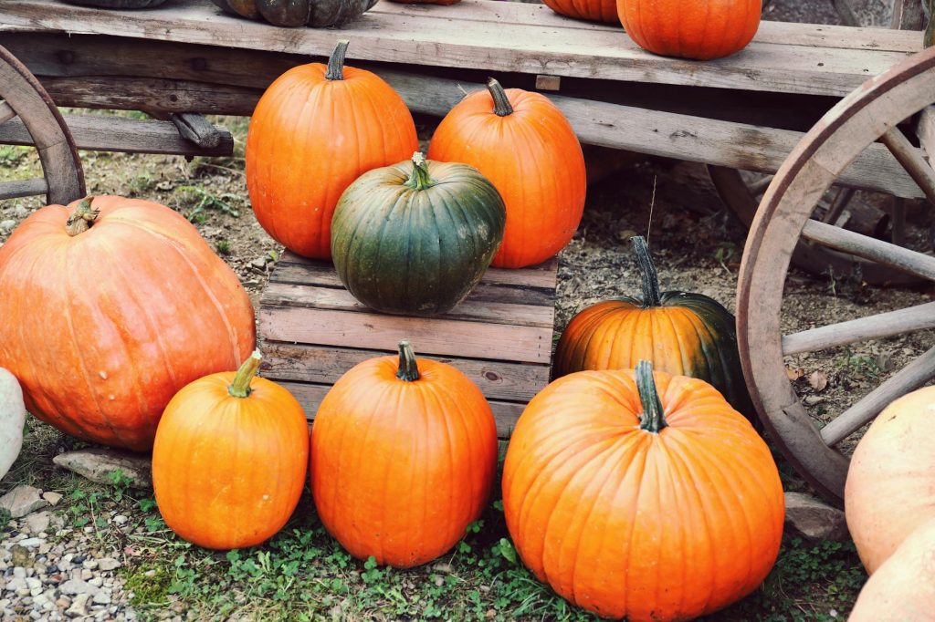 Sensex Falls 900 Points as West Asia Tensions Shake Markets