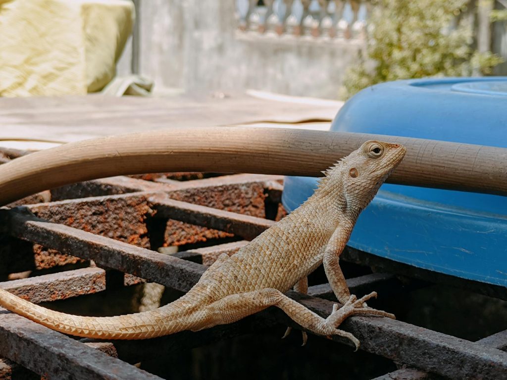 Maharashtra Winter Assembly 2025 Kicks Off in Nagpur