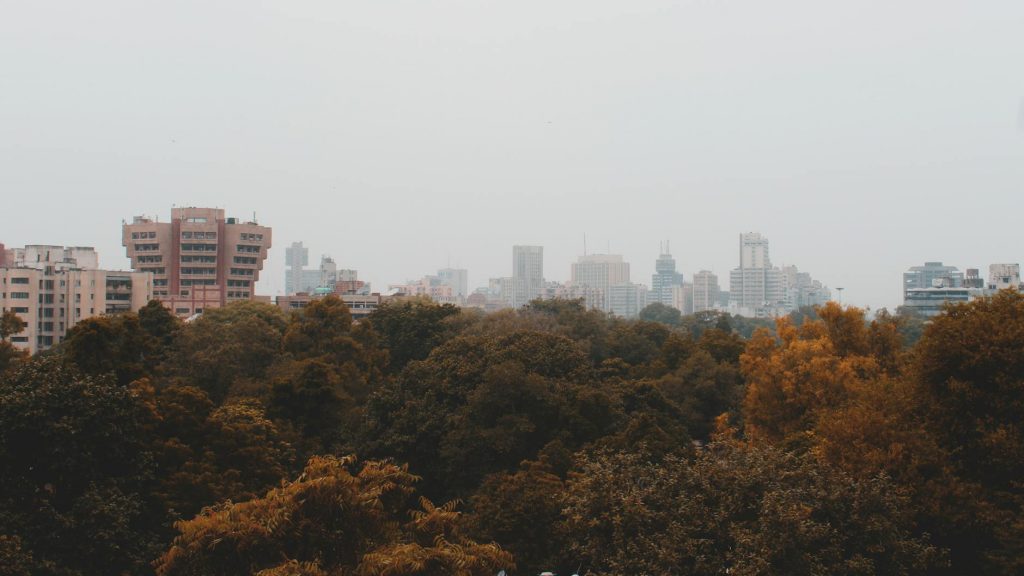 Maharashtra Pumps ₹100 Crore Into Pune, Nagpur Metro Expansion