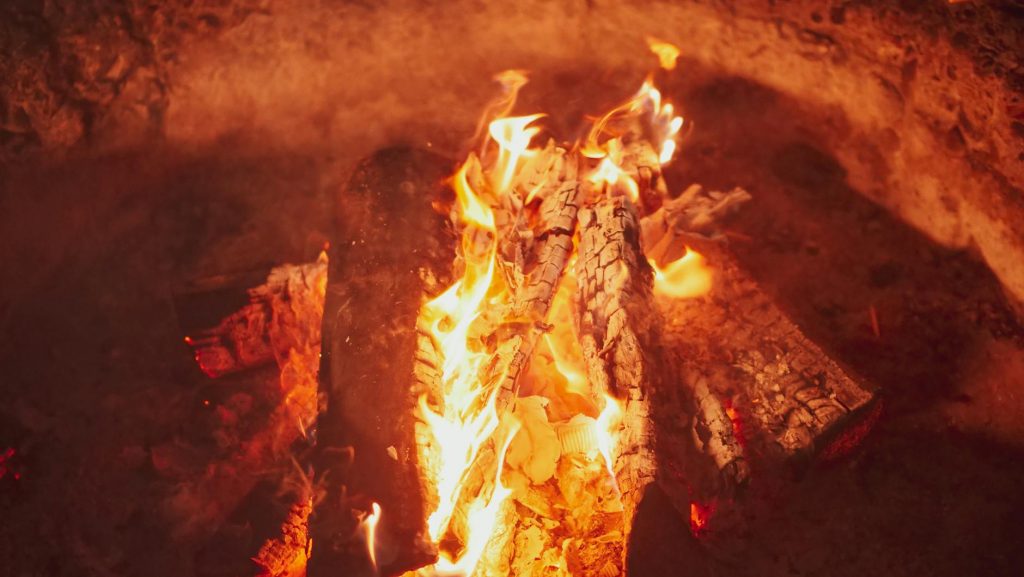 Fire at Bhopal timber market injures three workers