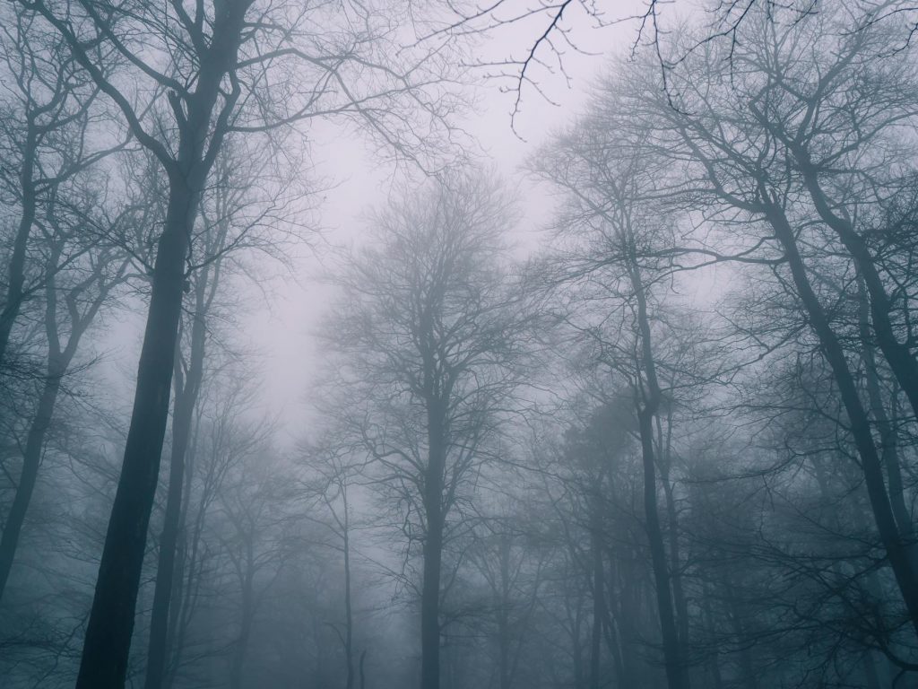 Dense Fog and Cold Wave Alert Issued for UP, Punjab, Haryana