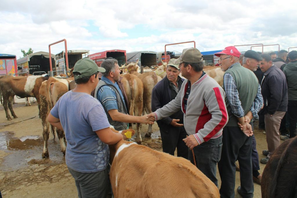 Rahul Gandhi, Kharge to Rally Farmers in Bhopal Next Week