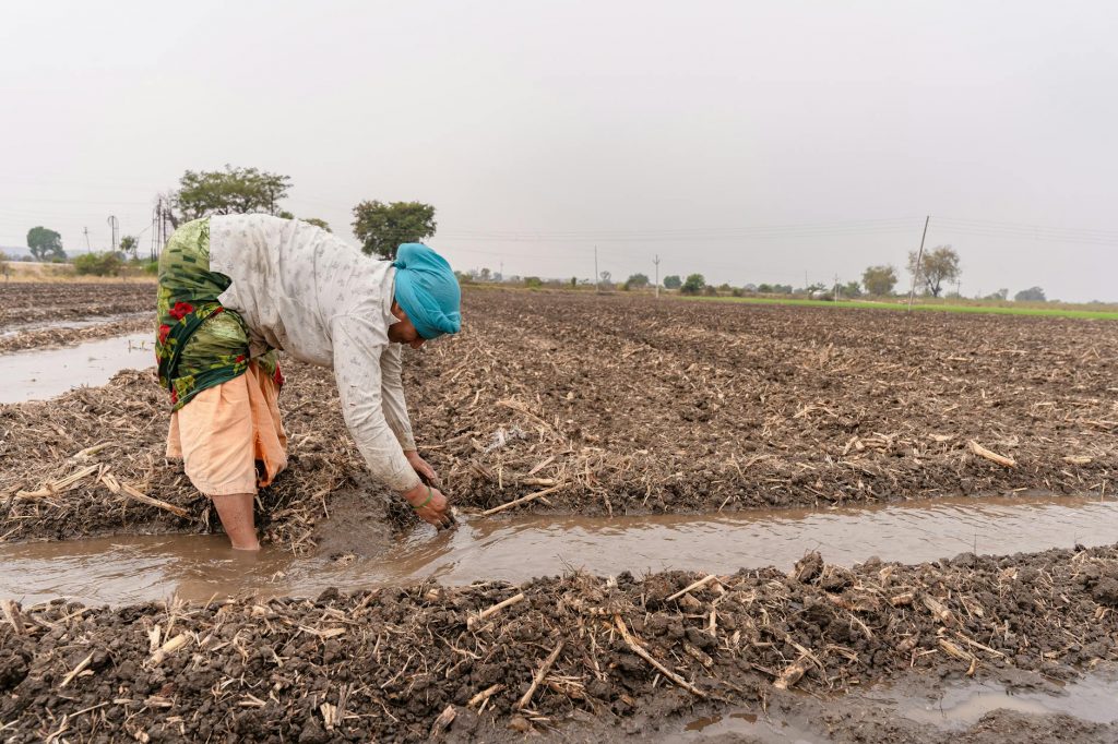 Nagpur Weather Today: Temperature and Air Quality Update