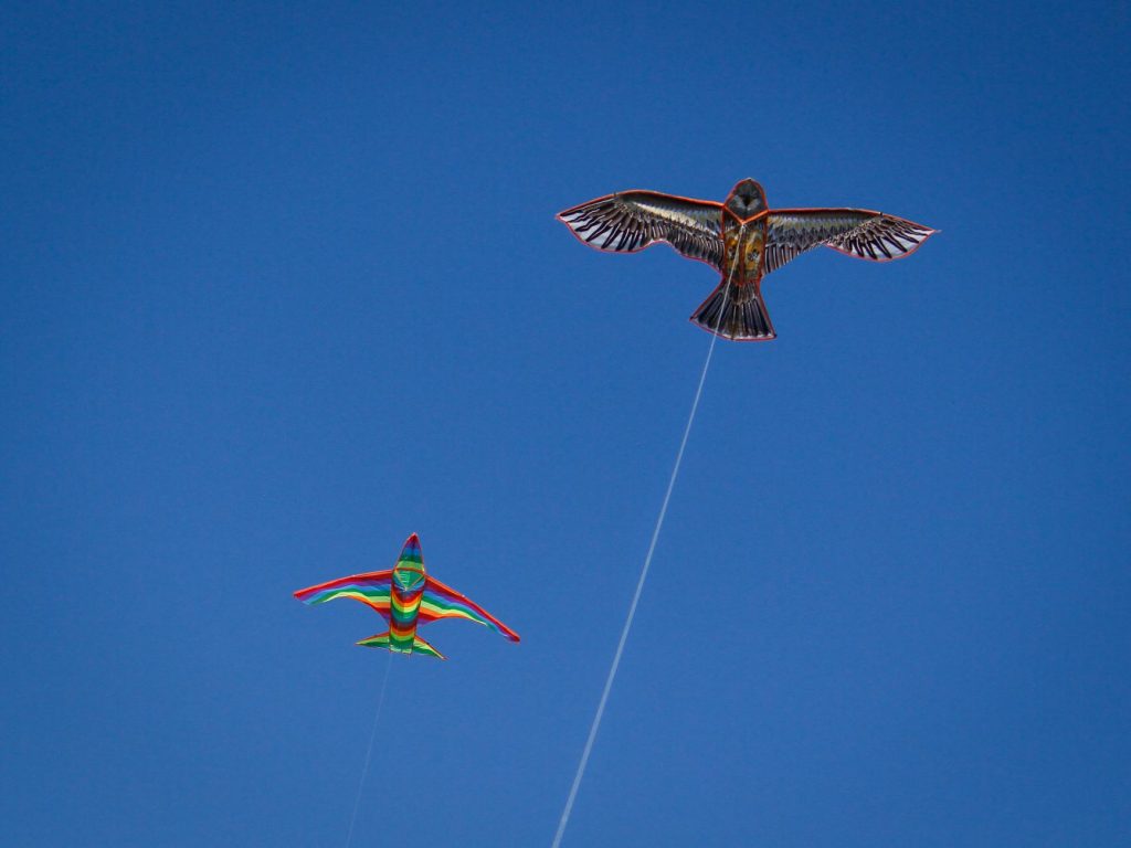 Manjha Danger: Why Lucknow’s Flyovers Became Accident Zones