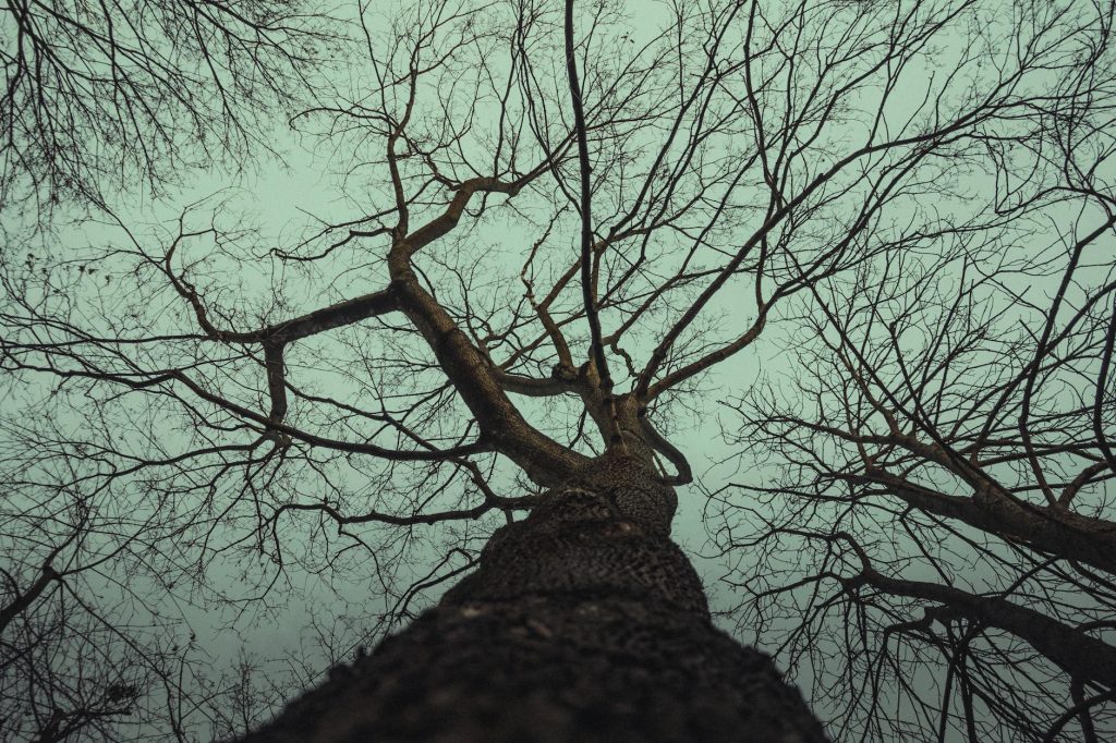 Daughter’s AI Boyfriend Prank on Mom Goes Viral