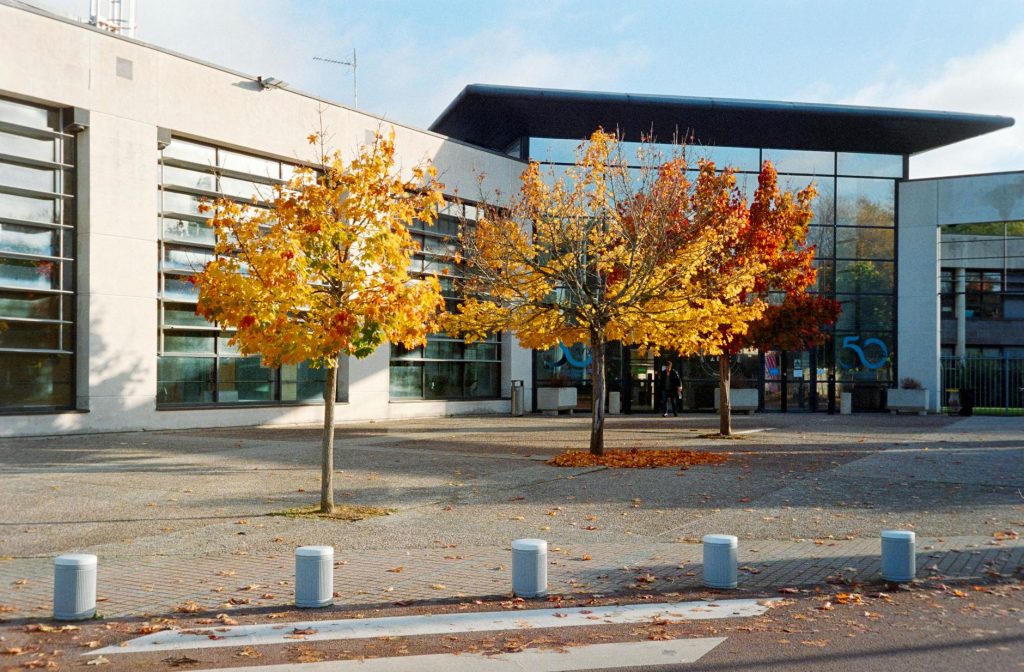 Stock Market Crash: Nifty 50 down 9%, Sensex loses ₹7,685 crore