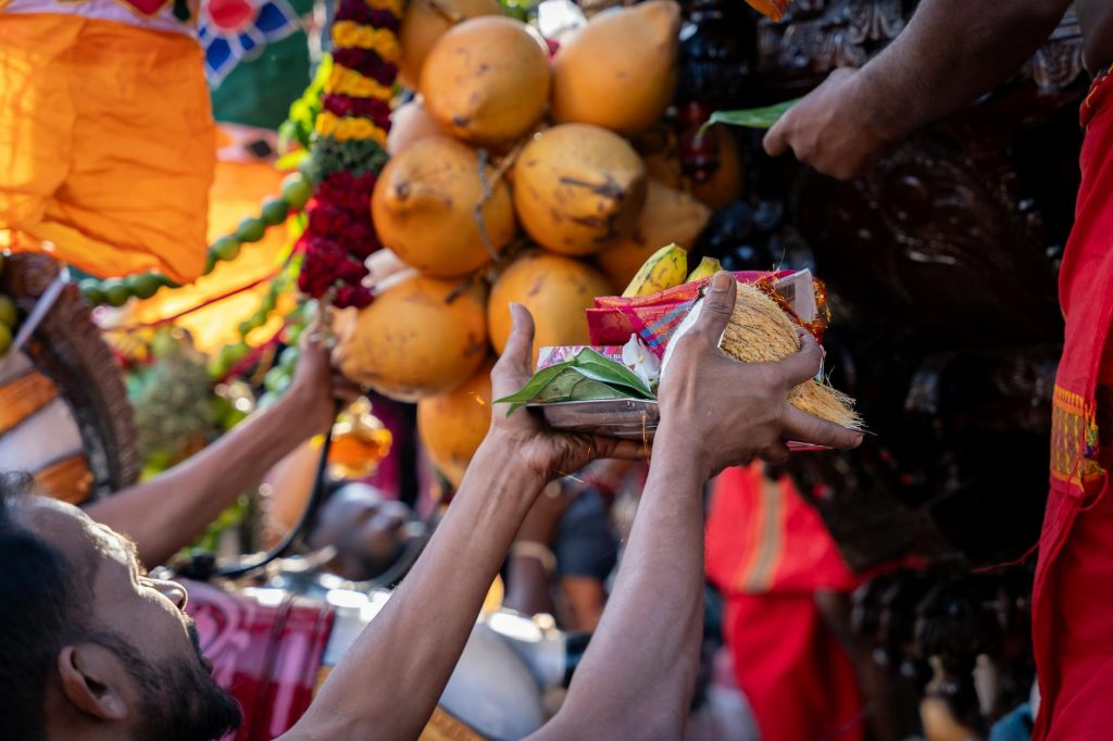 Coconut Farmers Get a Boost from New 2026 Scheme
