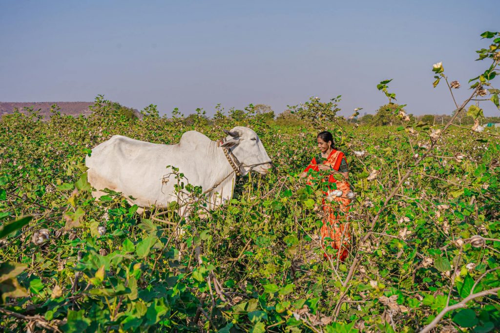 దుస్సెహరా పండుగకు ఆంధ్రప్రదేశ్ మరియు తెలంగాణ స్కూల్‌ల, కాలేజీల మూసివేత