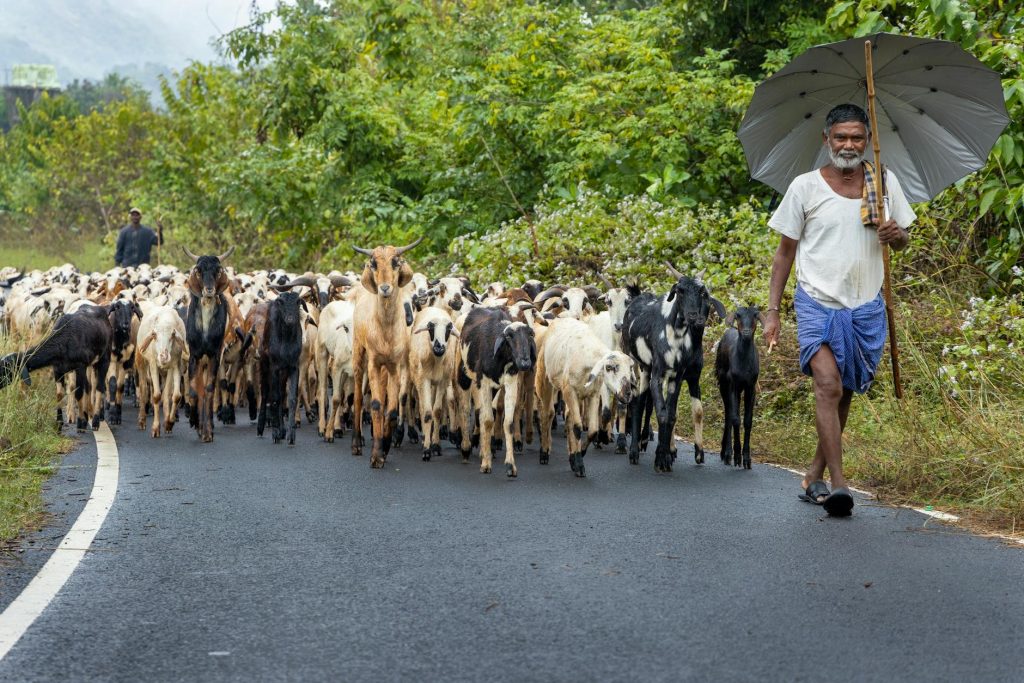ఆంధ్రప్రదేశ్, తెలంగాణ వాతావరణ సమాచారం: భారీ వర్షాలు, ఎండ కలిసిపోయే ప్రాంతాలు తెలుసుకోండి