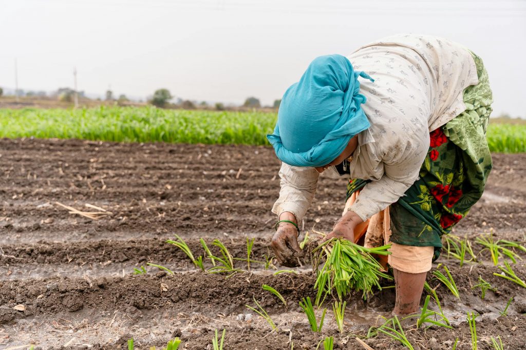 Maharashtra Leader Agrees to Shift Farmers’ Protest From Nagpur Highway