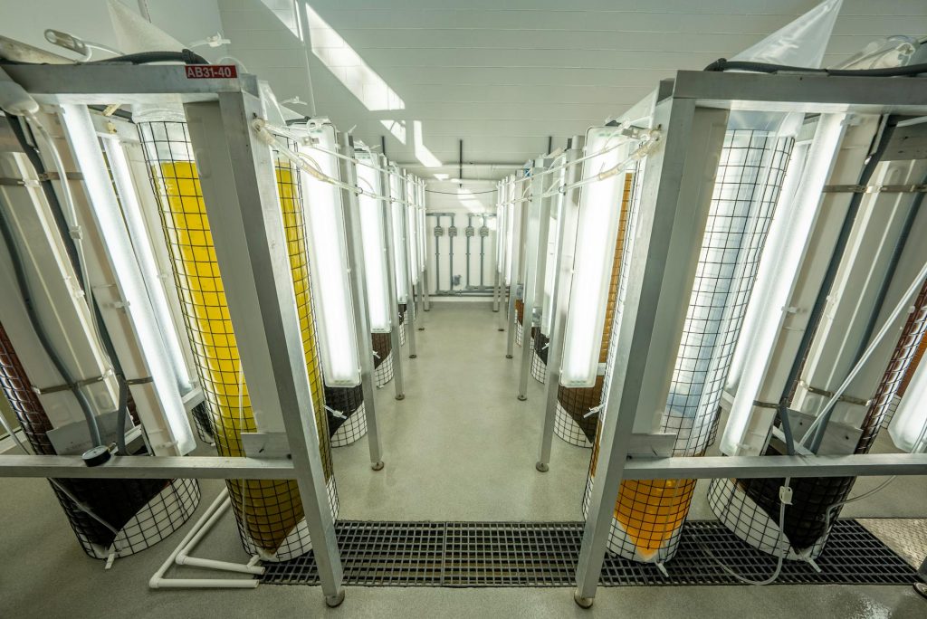 Kerala Opens 100-Bed Cancer Centre to Fight Rising Cases