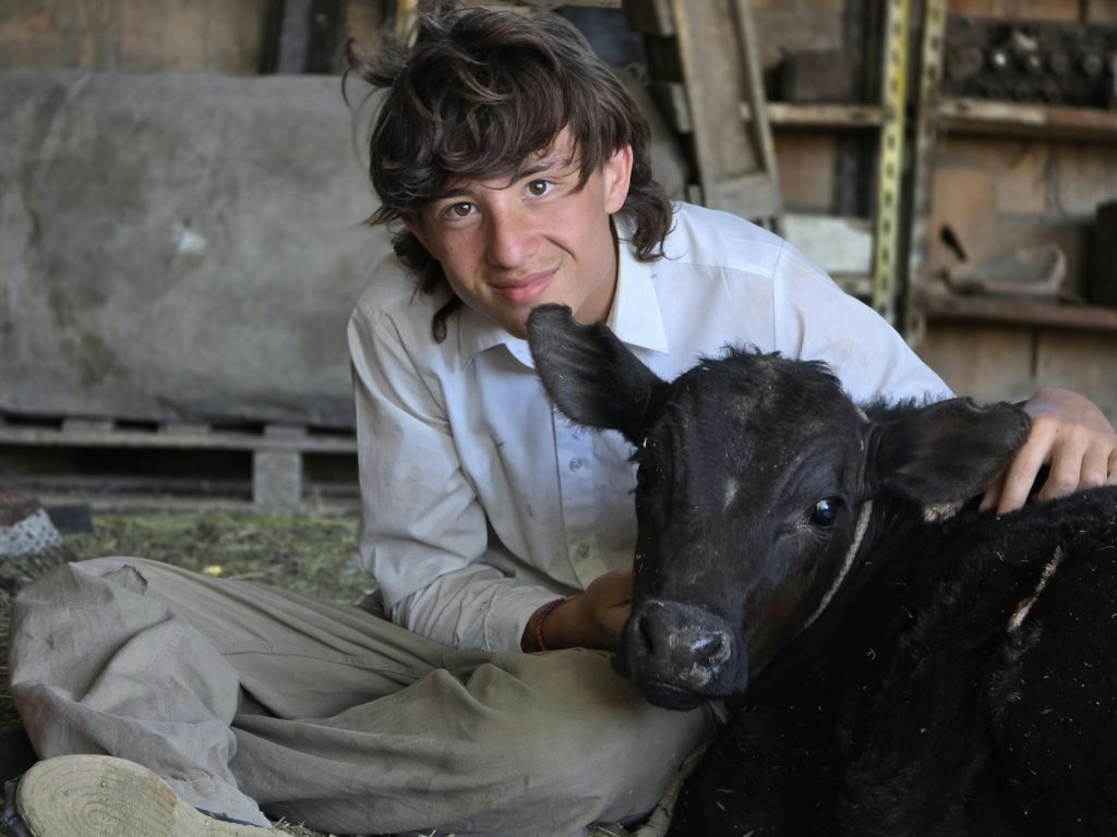 Woman Builds Unbreakable Bond With Her Bulls in Andhra Pradesh