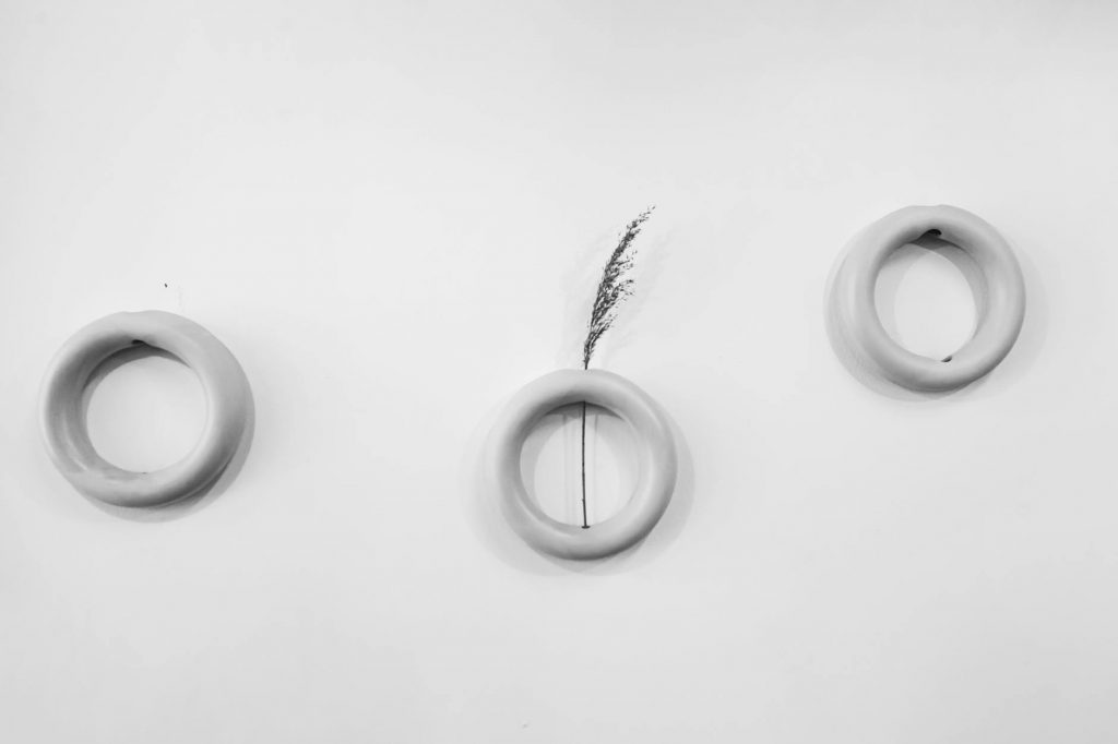 Disney+ to Develop Animorphs Series with Ryan Coogler’s Production House