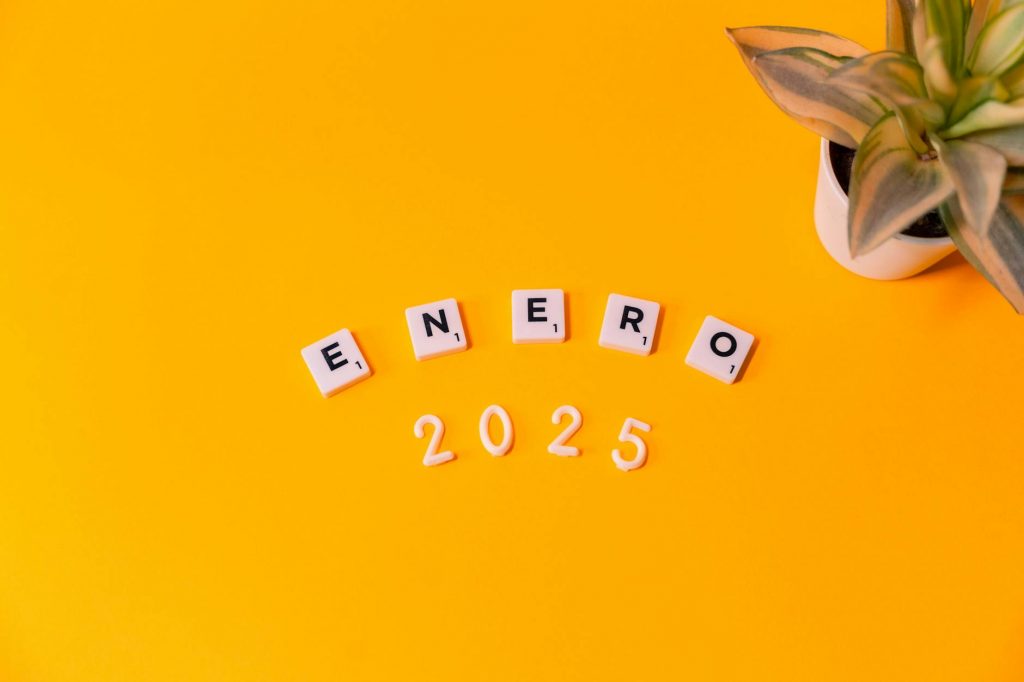 IPL Frenzy: 2025 Buzz, 2024 Recap & WPL Impact