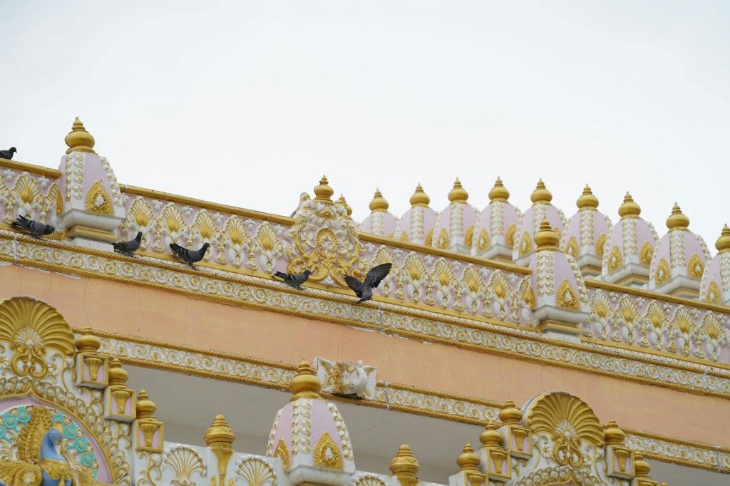 Gujarat Temple Staff Suspended After Party Video Goes Viral