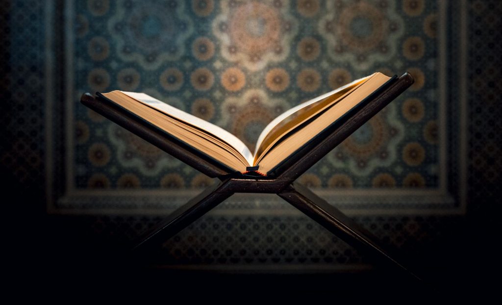 Free Study in Europe? Here’s What Indians Need to Know