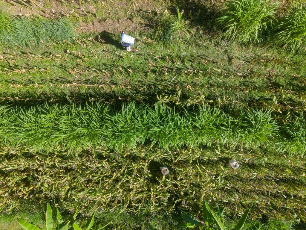 UPL Wins Global Sustainability Award for Eco-Friendly Farming