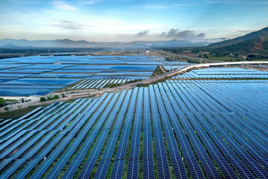 India’s Solar Sector Leaders in 2025 Revealed