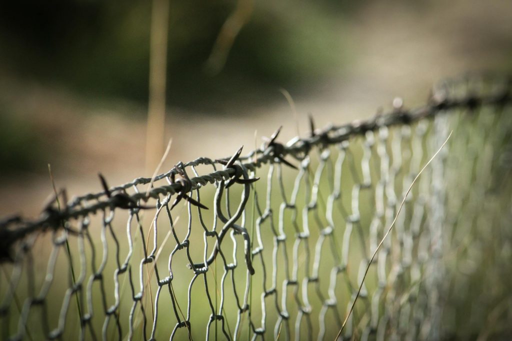 India-Bangladesh Border Fenced: 3,232 Km Mark Achieved