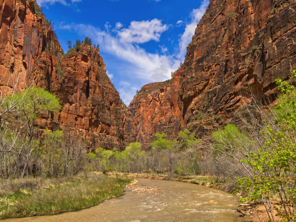 Virgin River’s Doc Gets New Help, Netflix Series Expands
