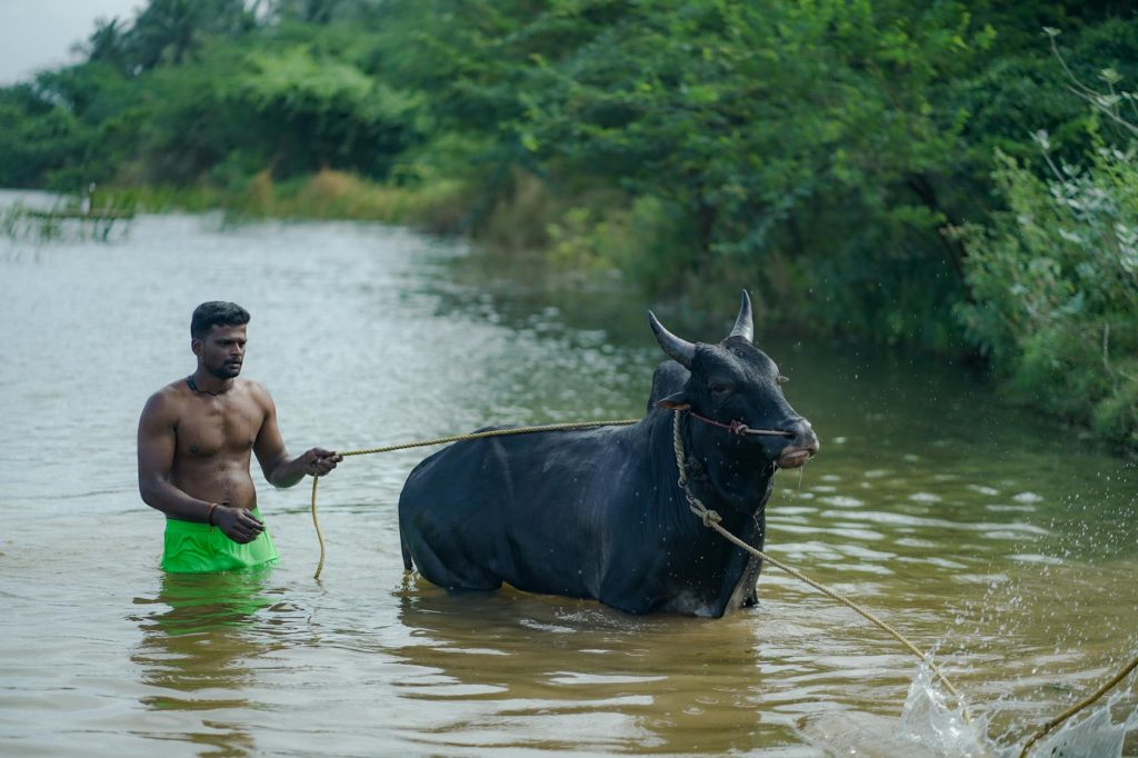 Karuppu 300Cr
