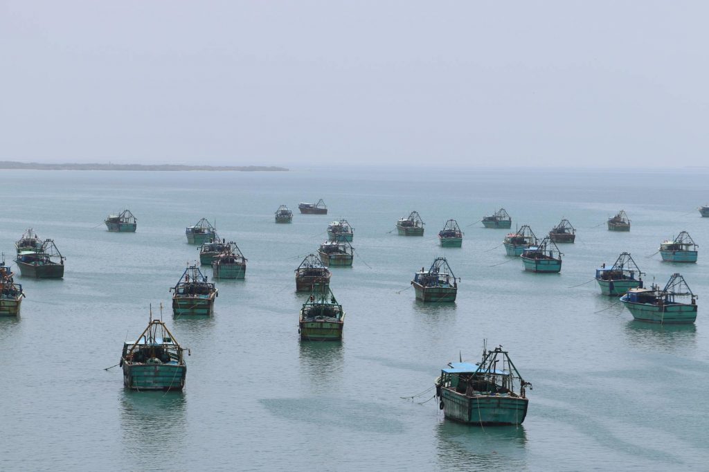 India’s Marine Trade Breaks Records Amid Global Challenges