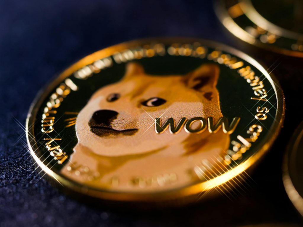 DOGE Whistleblower