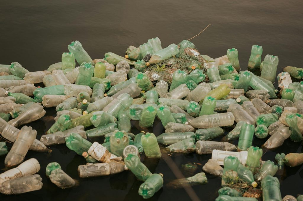 Screwworm Menace Spreads: US Fights Back