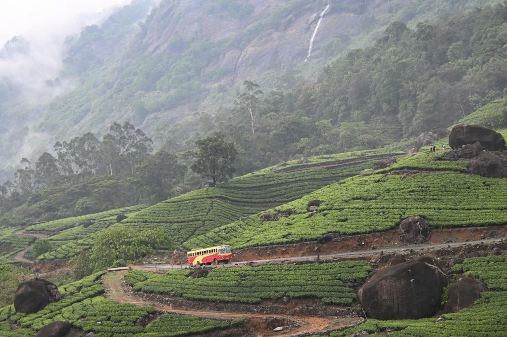 Southwest Monsoon Arrives in Kerala, Bringing Life to the Region