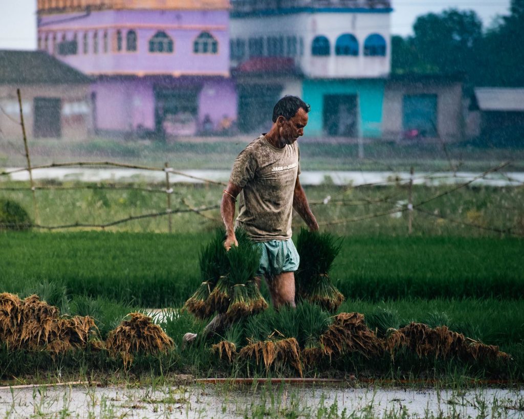 Monsoon Rains Arrive in Kerala, Saving Indian Harvests
