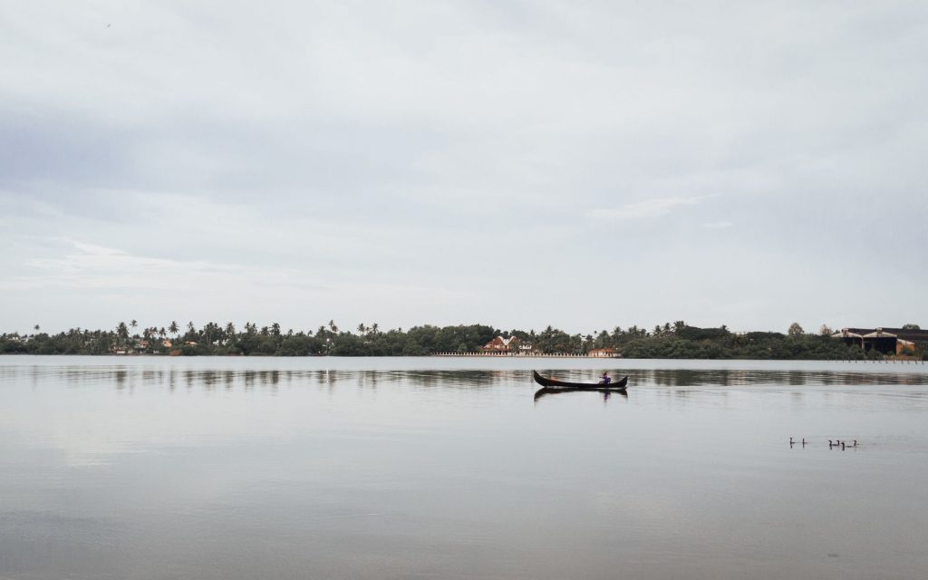 Monsoon Arrives in Kerala, Bringing Relief to Farmers