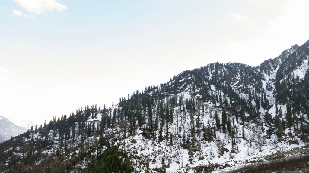Manali Molestation: Tourist Video Shocks India