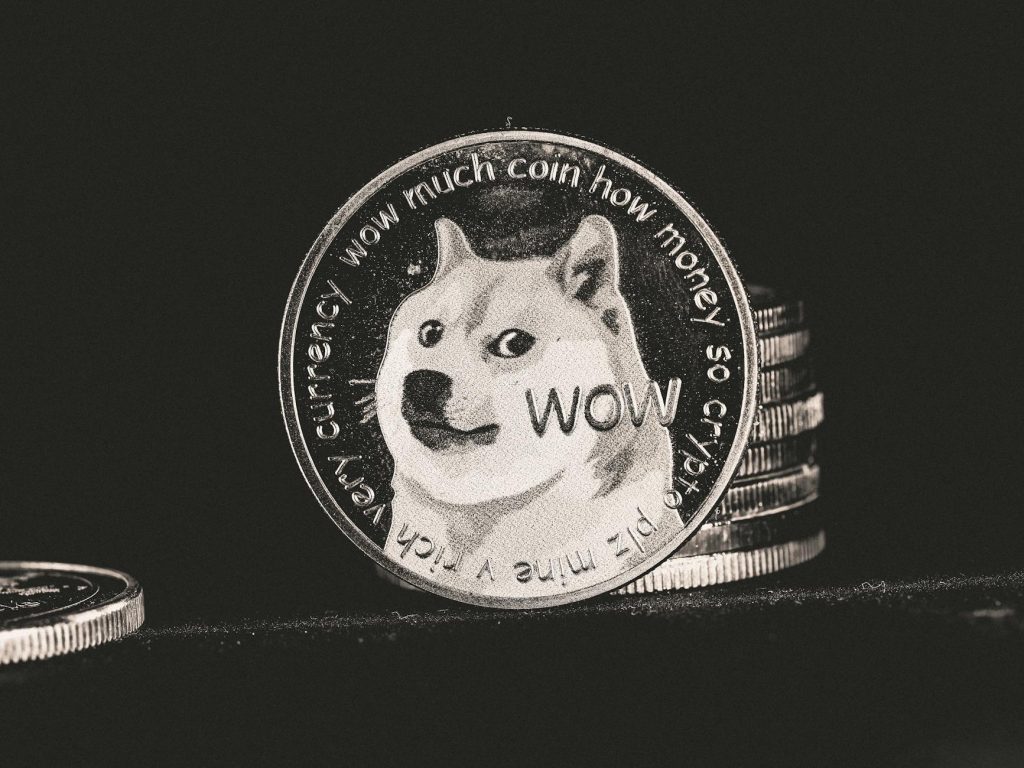 DOGE Founders Secure Funding for AI Startup