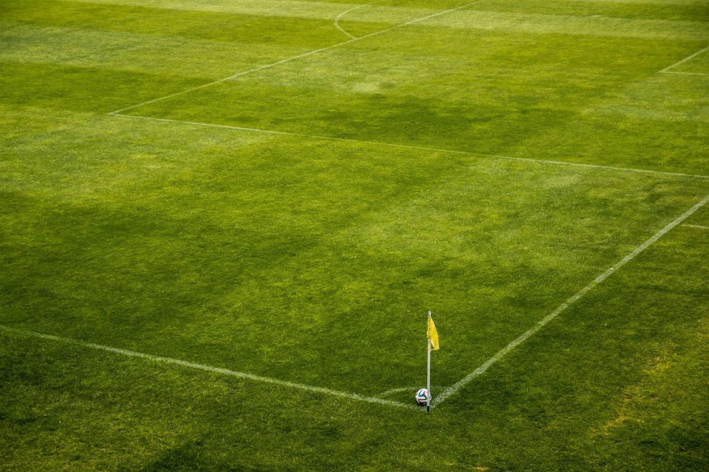 Lord’s Pitch Issue