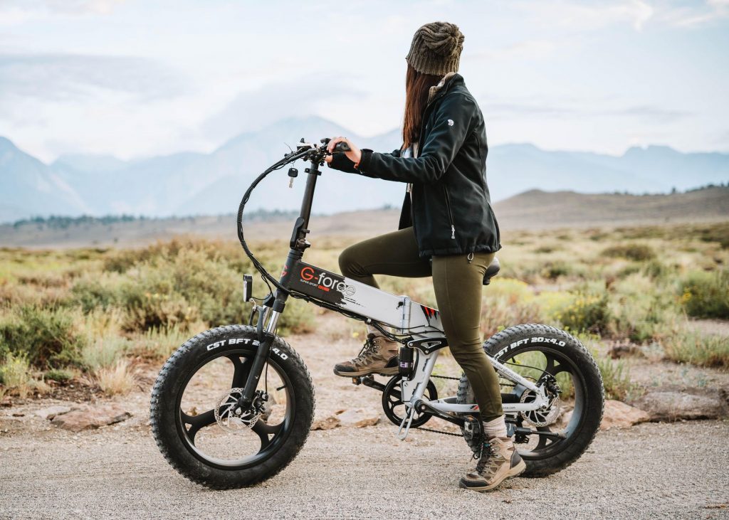 Lauf eElja Review