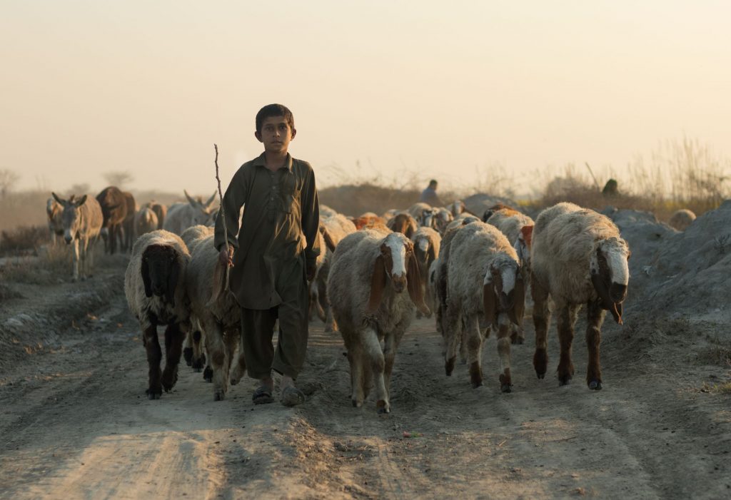 Pakistan's Hidden Agenda in PoK: A Slow-Motion Occupation?