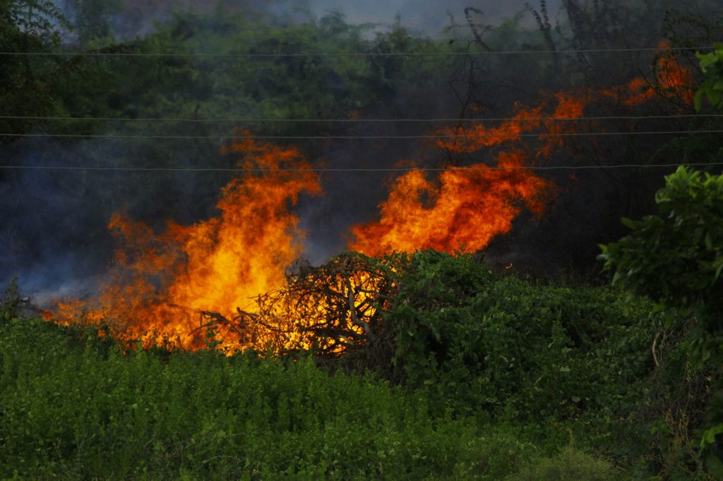 Delhi Sizzles: The Hidden Heatwave